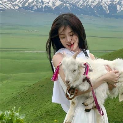零点锋云2008